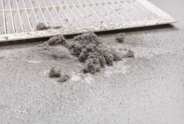 Best Residential Air Duct Cleaning  in North Barrington, IL